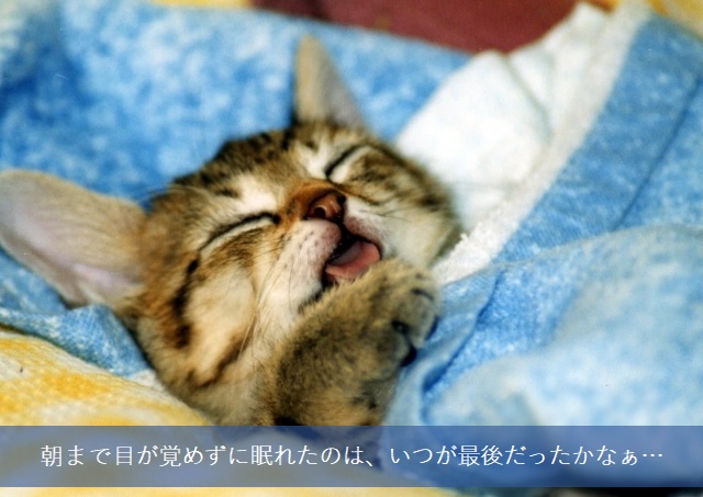 朝までぐっすりtop