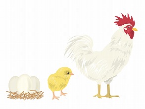 鶏と卵