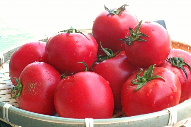 トマトの保存方法 冷蔵庫から保存食まで長持ちのコツを徹底解説 四季おりおり快適生活