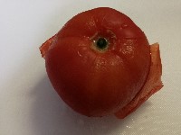 簡単に皮がむける!