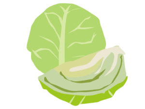 カットキャベツ