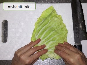 キャベツ千切り4