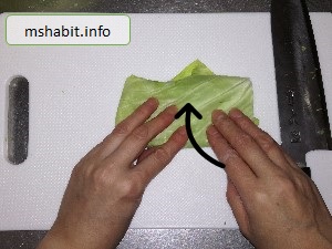 キャベツ千切り6