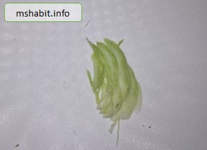 キャベツ芯の千切り3