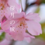 桜月の候